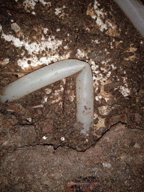 泾县堵点精准查找